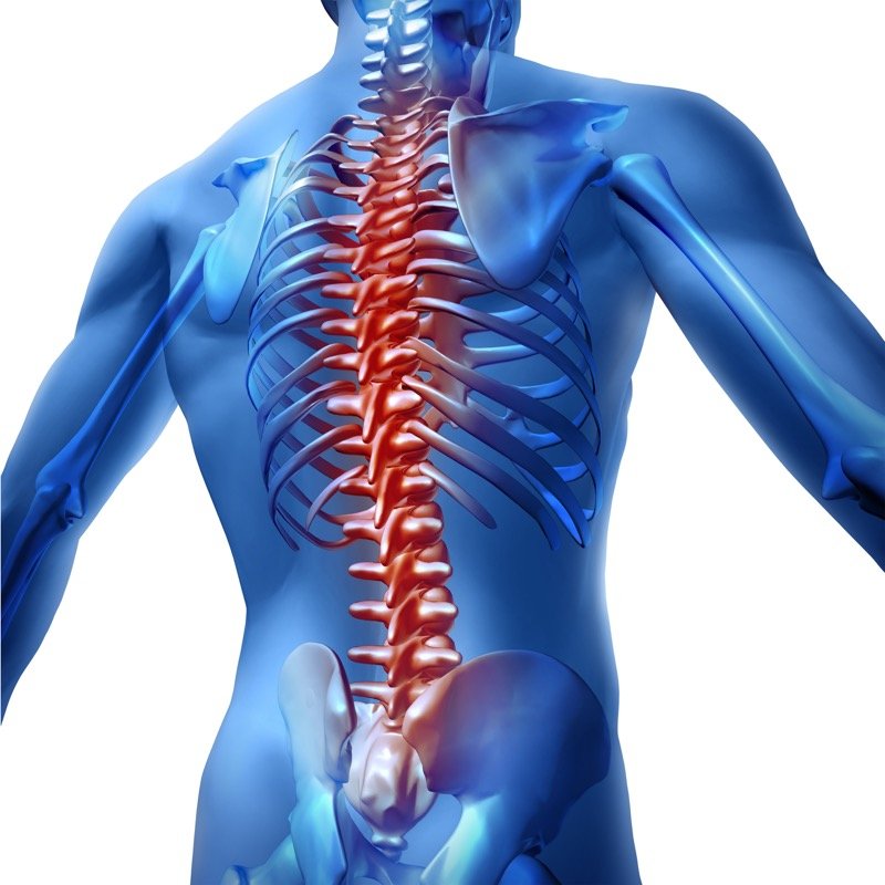spinal cord injury rehabilitation