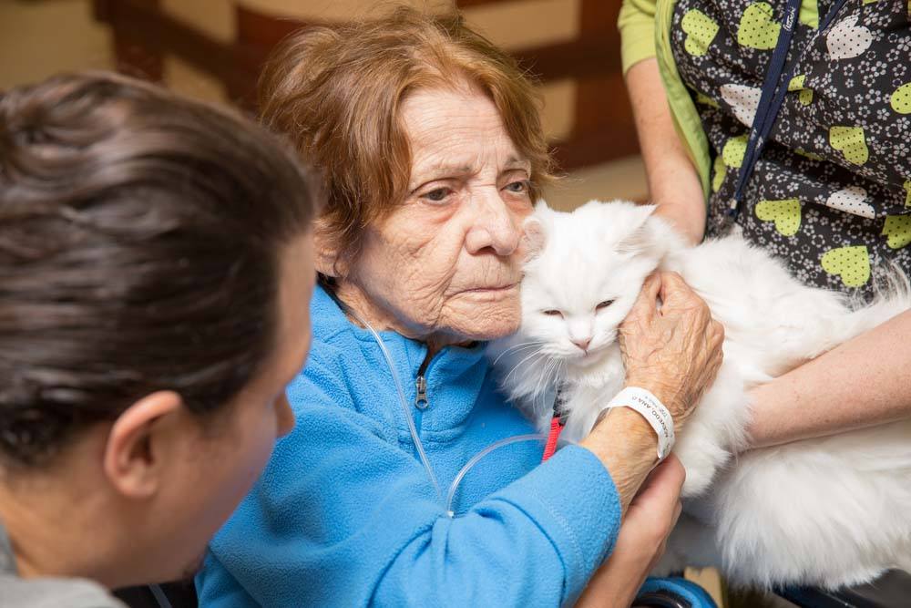 Patient with a Cat pet therapy at fairview nursing care center forest hills