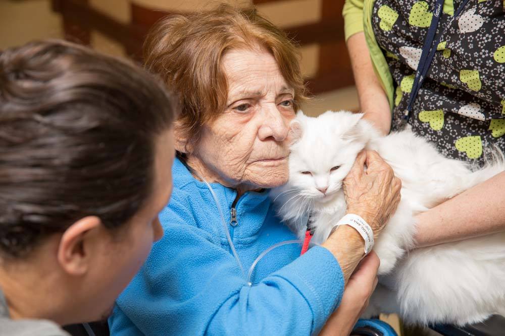 pet therapy at fairview nursing care center forest hills