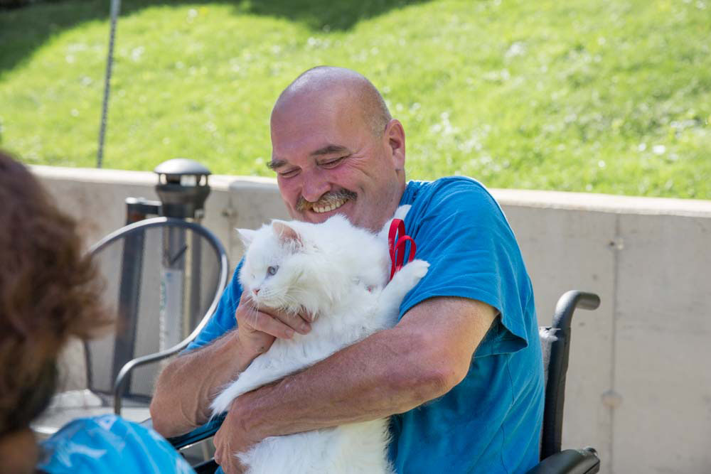 Total Parenteral Nutrition Happy elderly playing with his cat after being treated by total parenteral nutrition at fairview rehab center foresthills queens