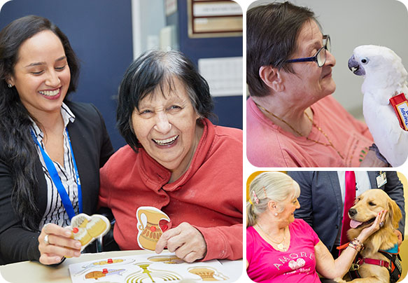 slide-image-left 3 images combined together of Fairview Rehab patients enjoying recreation and pet therapies.