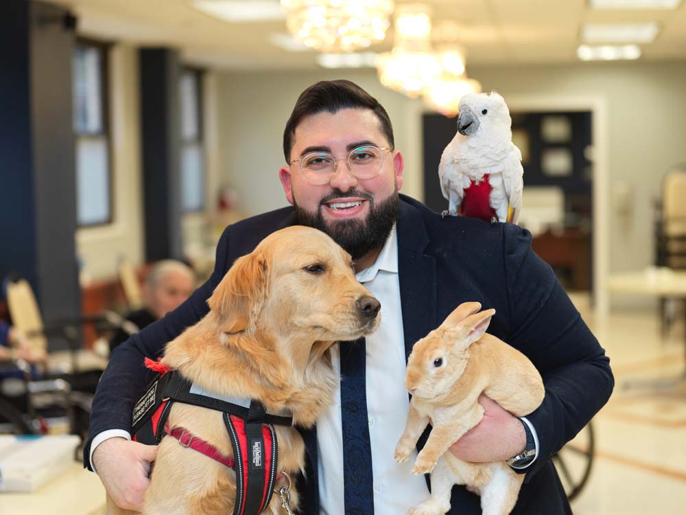 Activities for Depression Pet therapy activities for depression