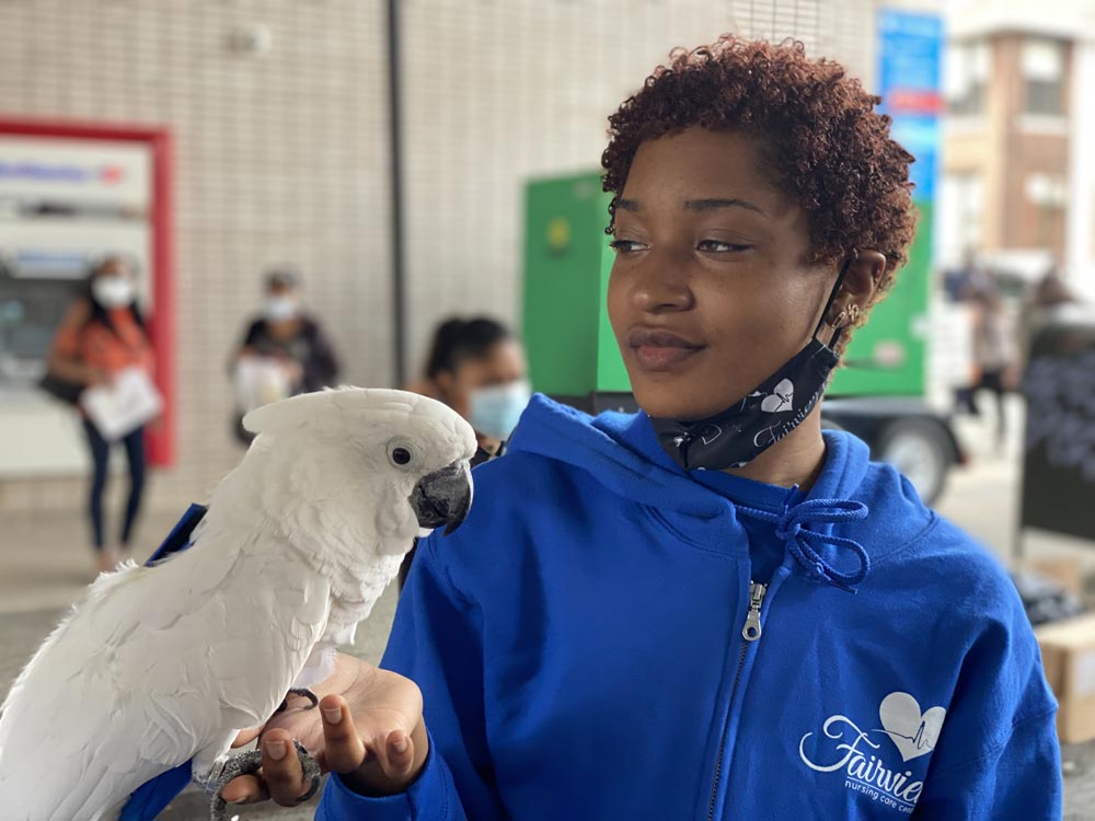 Recreation nurse specializing in fun activities holding White cockatoo on her hands