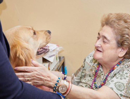 Why Animal Therapy Helps When Nothing Else Does