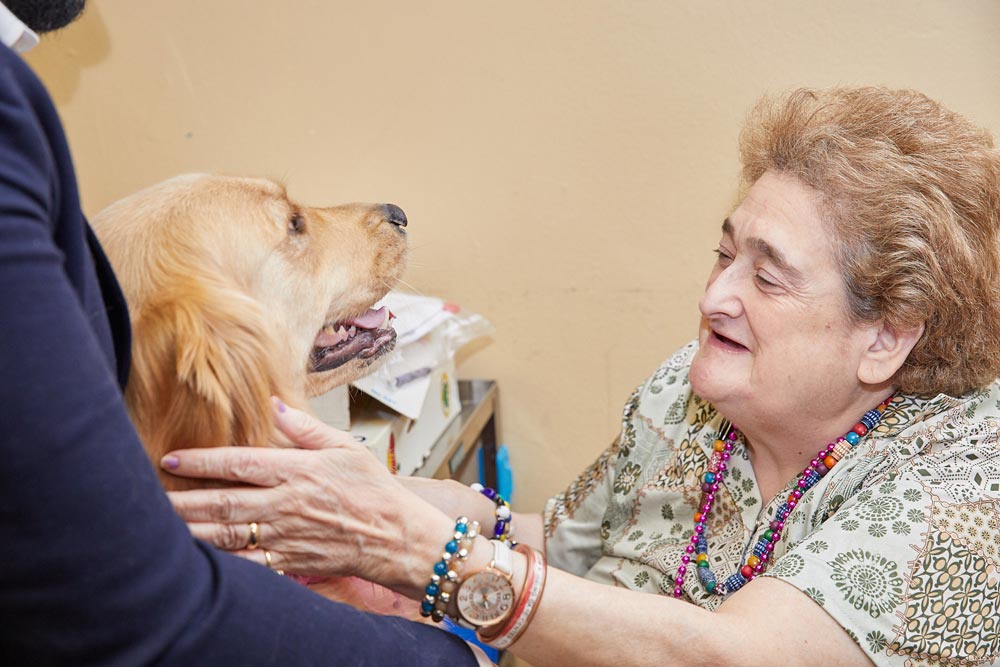 Elderly lady getting pet therapy as a part of rehab for depression