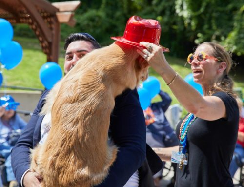 Benefits of Pet Therapy for the Brain