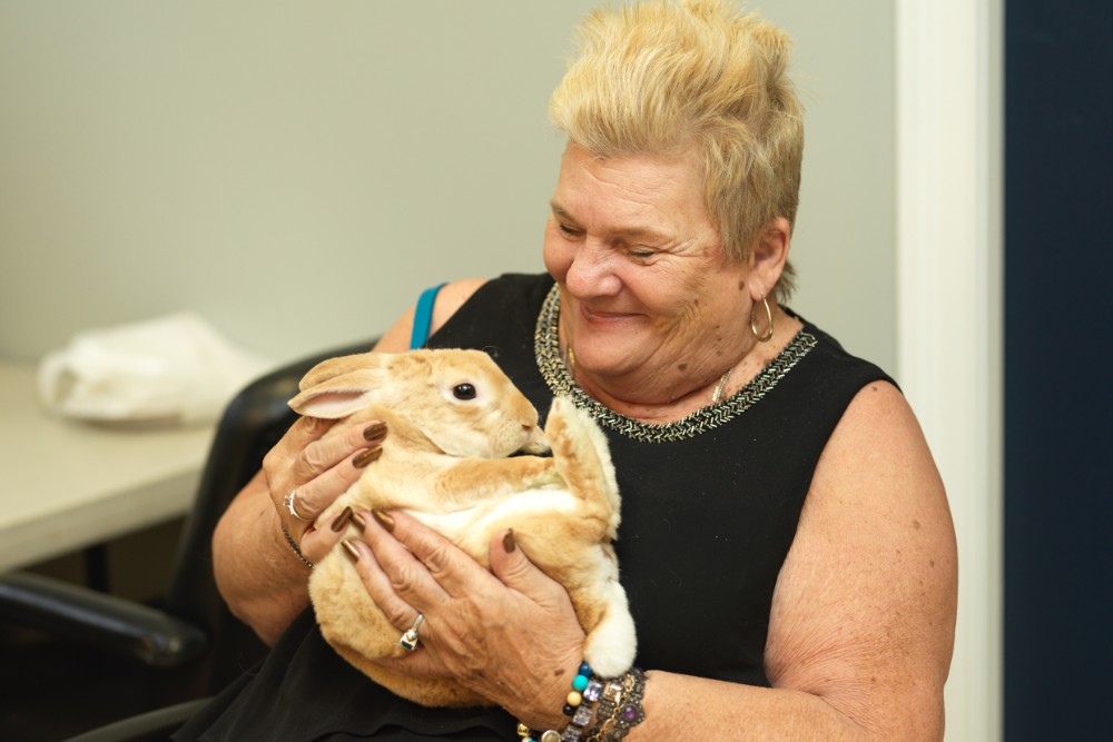 Elderly woman smiling warmly while holding a rabbit, reflecting emotional well-being and the impact of smiling health.