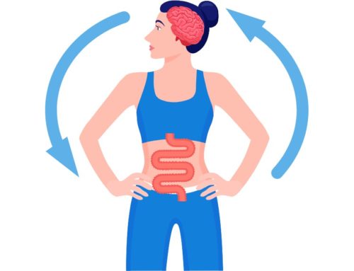 The Brain-Gut Axis: How Your Gut Talks to Your Mind