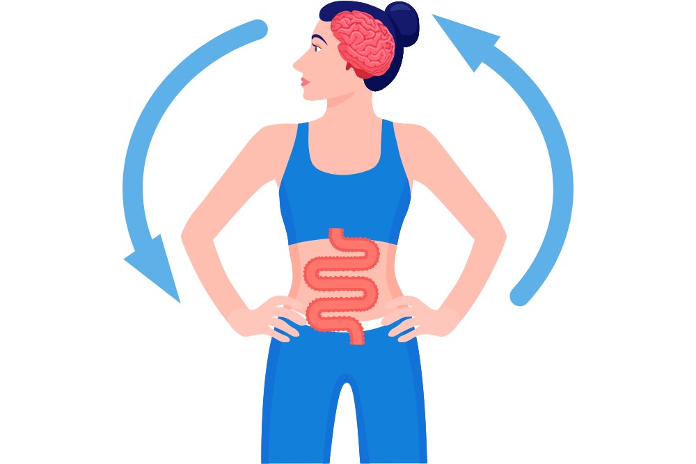 Visual representation of brain gut connection.