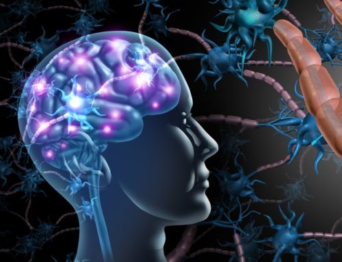 Healing Nervous System Heals Your Whole Body – Here’s Why